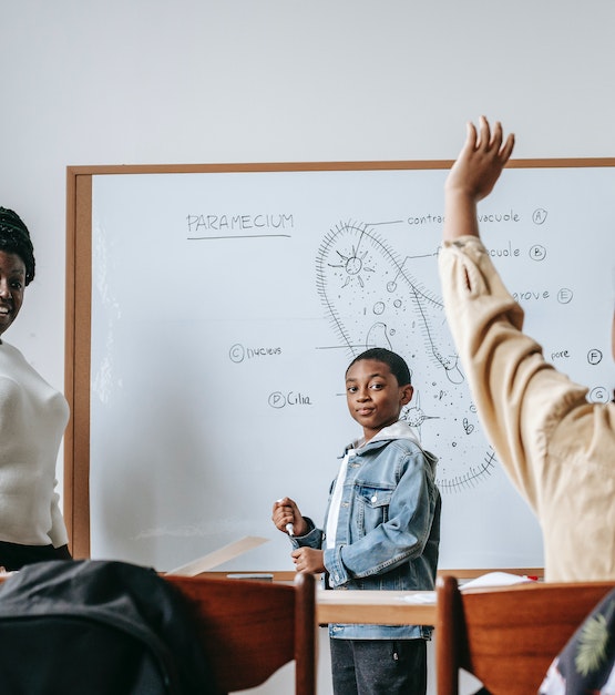 pexels katerina holmes 5905554